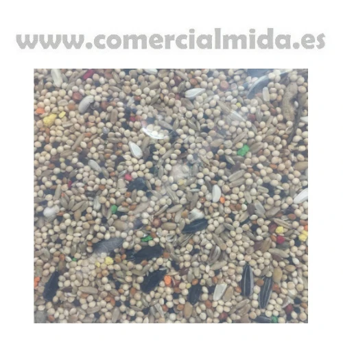Imagen del producto 3